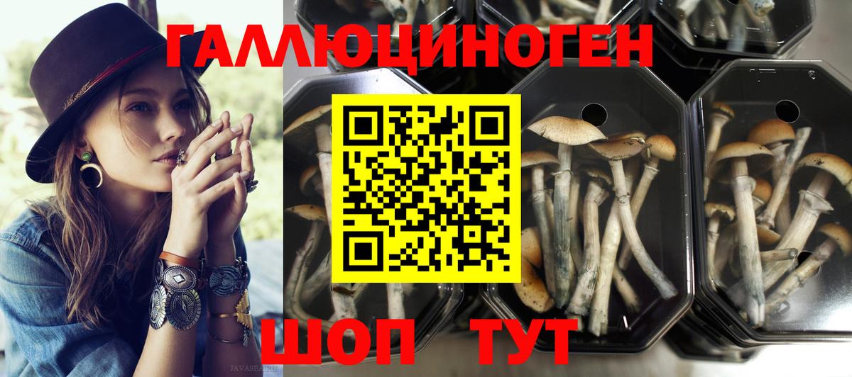 Галлюциногенные грибы прущие грибы  Псилоцибиновые грибы Psilocybe  Вход с VPN  Иваново 
